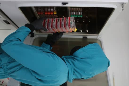 Slider image (7) Stem Health Guadalajara